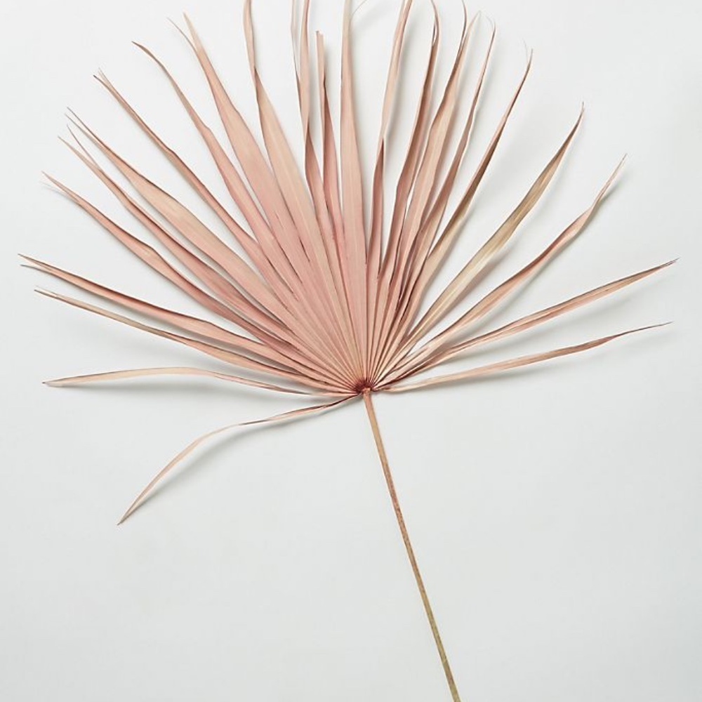 Set of 2 Anthropologie Pink Terrain Dried Palm Fronds (2)